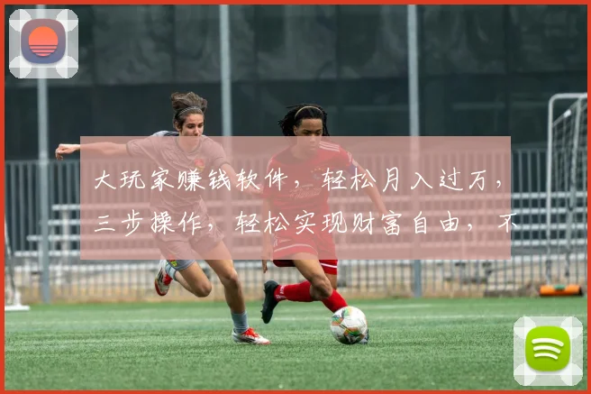 大玩家赚钱软件，轻松月入过万，三步操作，轻松实现财富自由，不容错过