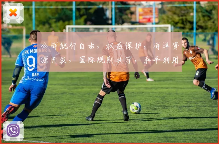 公海航行自由，权益保护，海洋资源开发，国际规则共守，和平利用，共谋发展。