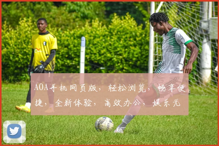 AOA手机网页版，轻松浏览，畅享便捷，全新体验，高效办公，娱乐无忧。